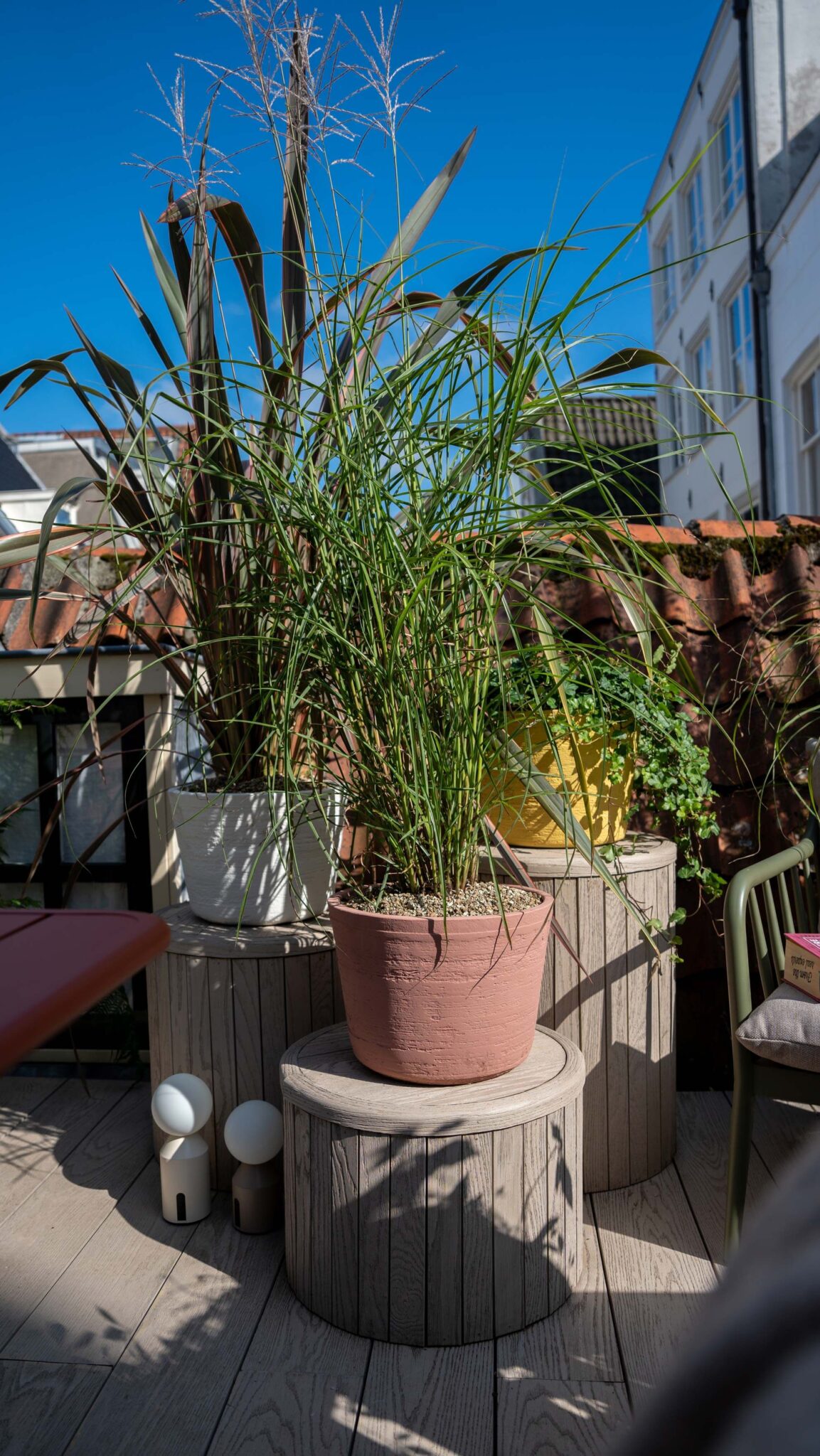 Beplanting op ronde plateaus op het Amsterdamse dakterras