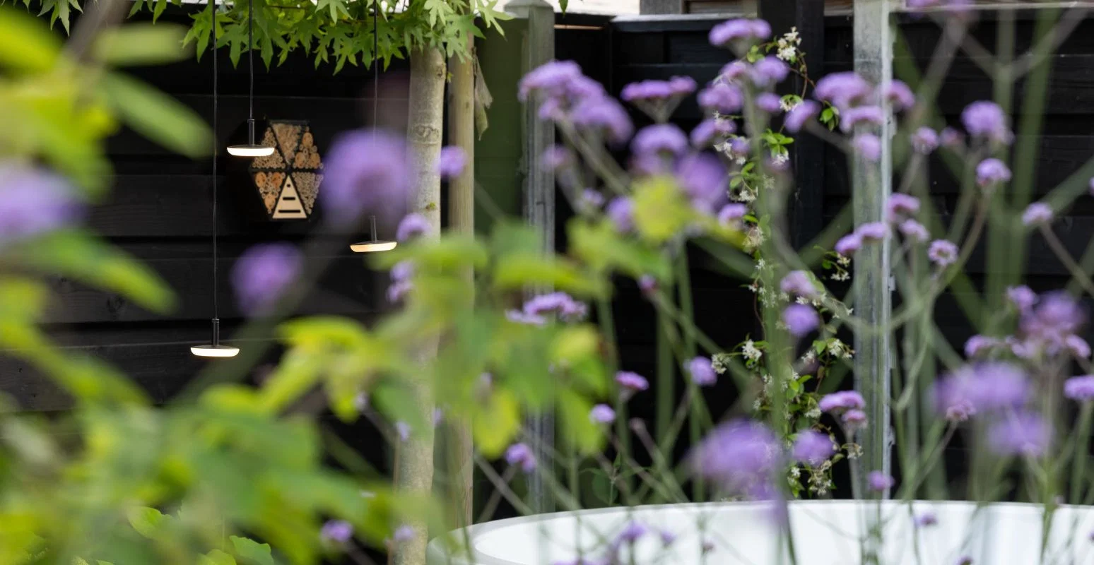 Gerealiseerde in-lite tuin in Borne: sfeerbeeld 4