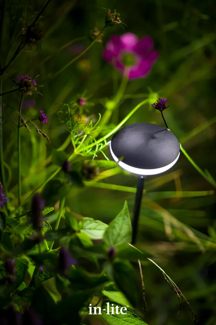 In-Lite Sway Light Head Black Solitary