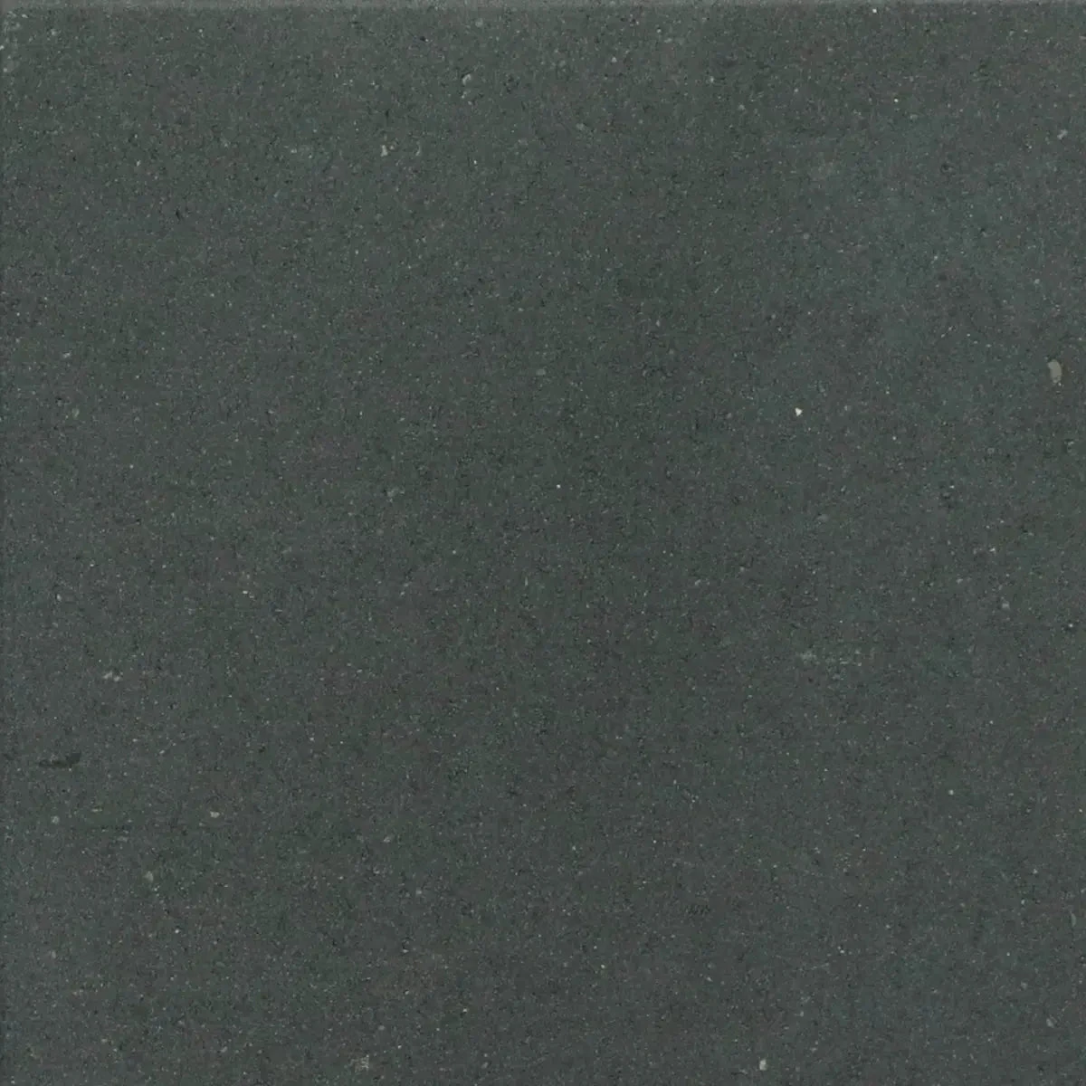 Tremico 6cm 60x60x6cm Antraciet