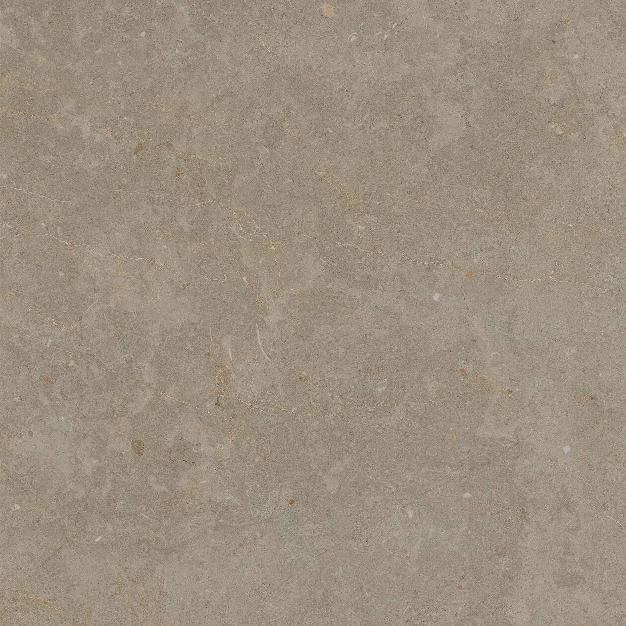 Limerock Taupe, 60x60x3 cm