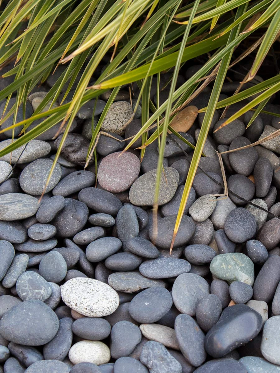 Beach pebbles zwart 8/16mm