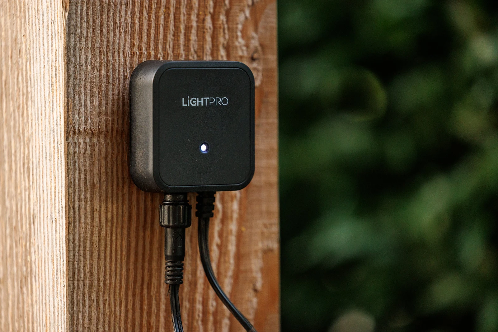 Light Pro Switch Smart 12V (Wi-Fi)