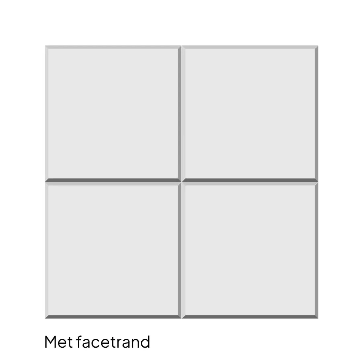 Grootformaat tegel 50x50x5 facet KOMO grijs klein pakket 50x50x5cm Grijs