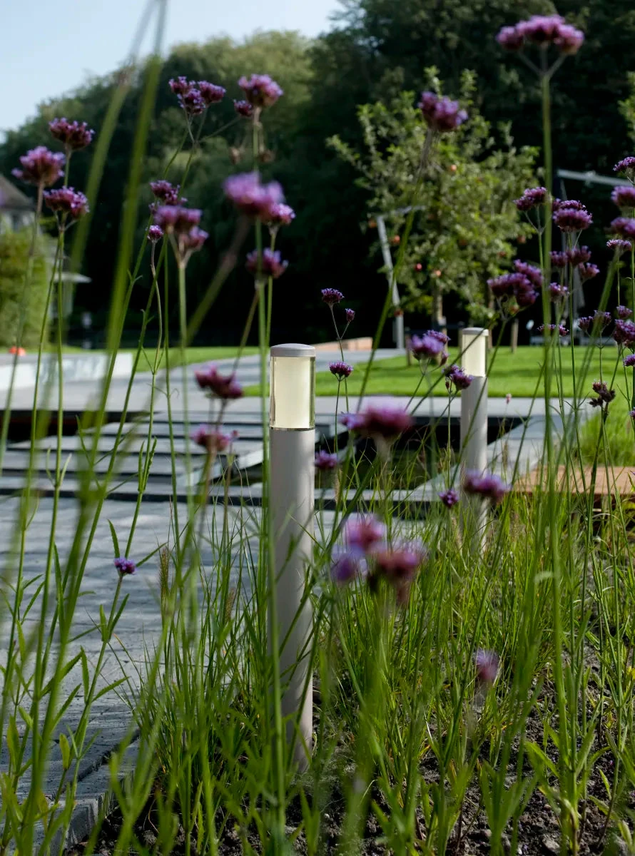 In-Lite Liv Solitary 12V - Rosé Silver
