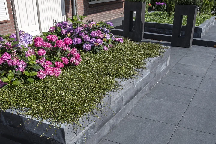 Trottoirtegels Grijs