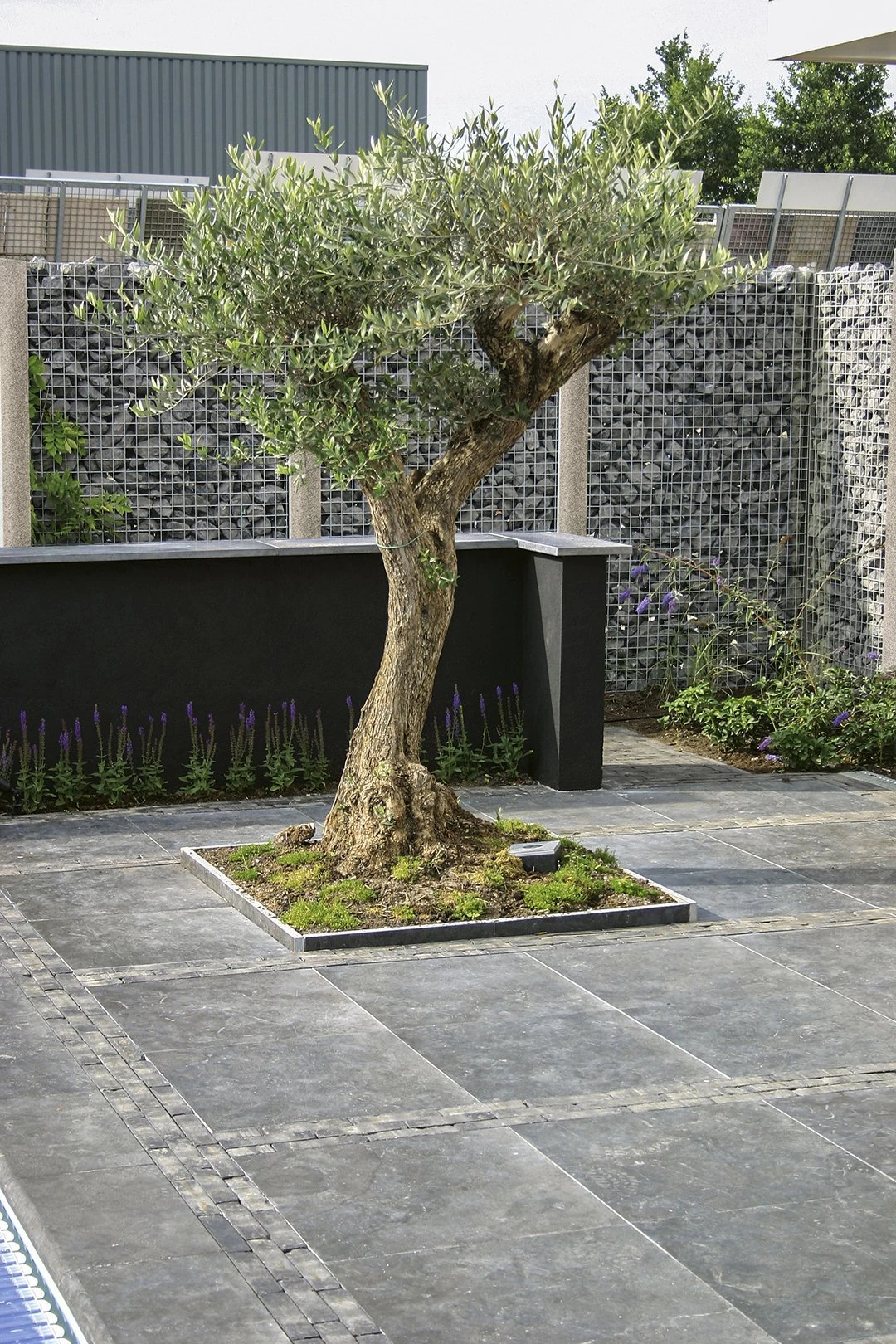 Black Premium Slate Basic