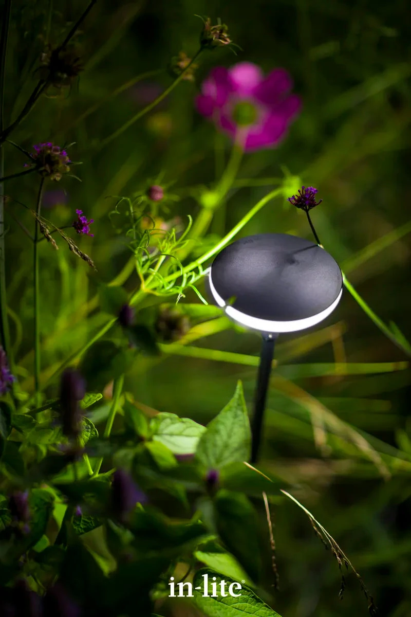 In-Lite Sway Light Head Black Solitary