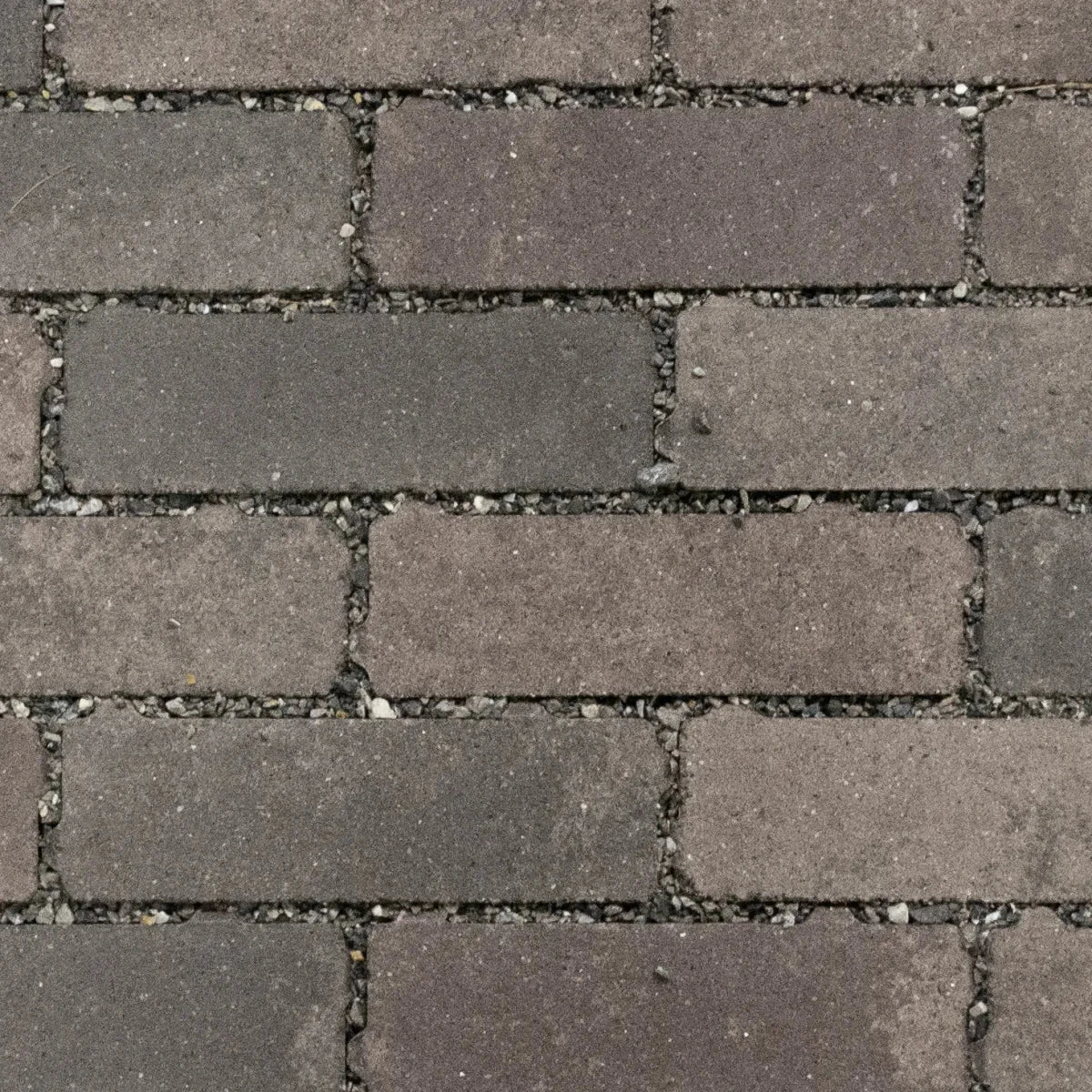 Hydro Brick 20x6,7x8 Terrra Nuance Paars 8x6,7x20cm
